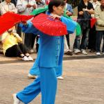 Kung fu corner nel Kowloon Park 